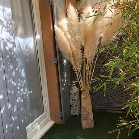 Golfe Saint Tropez Rez De Jardin Vue Piscine * Grimaud